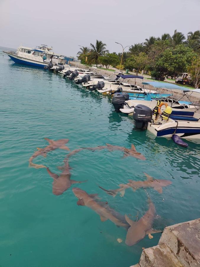 Rashuthere Maldives Rasdhoo Extérieur photo